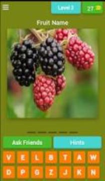 Fruits Picture Quiz游戲截圖1