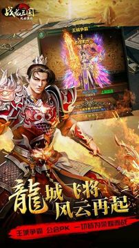戰(zhàn)龍三國風(fēng)云再起游戲截圖4
