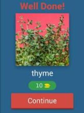 Quiz Pharmacy Plants游戲截圖5