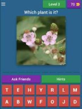 Quiz Pharmacy Plants游戲截圖3