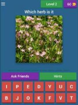 Quiz Pharmacy Plants游戲截圖4