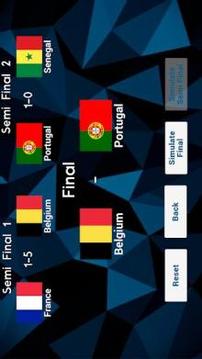 International Football Simulator游戲截圖1