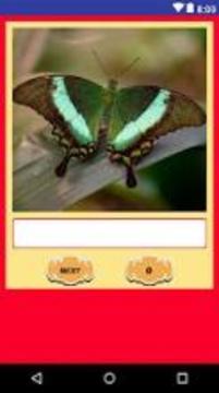 Guess picture name quiz游戲截圖1