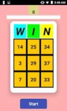 BINGO MINI - REAL CASH!游戲截圖4