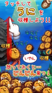 海膽和神明的大冒險(xiǎn)游戲截圖3