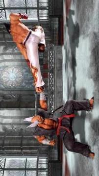 Tkkn Kung Fu Tournament Fight游戲截圖1