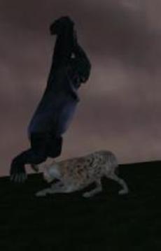 Safari park VR - Animals VR 3D游戏截图5