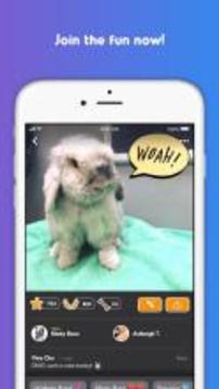Pet Parade游戲截圖5
