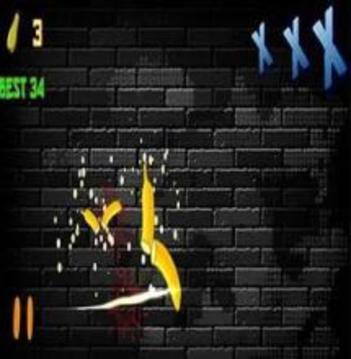 NINJA CUT FRUIT游戲截圖3