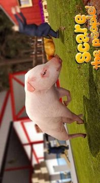 小豬模擬游戲截圖1