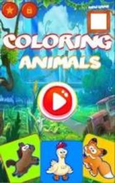 Animals Paint Book - Coloring for Kids游戲截圖4