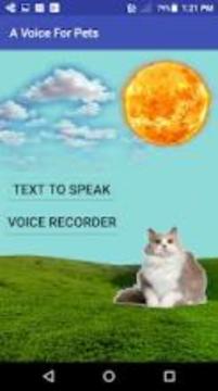 A Voice For Pets游戲截圖3