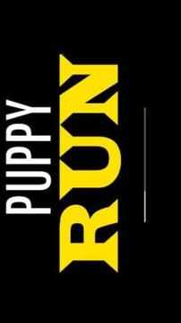 Puppy Run游戲截圖4
