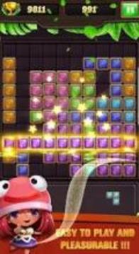 Block Puzzle Jewels Plus游戲截圖3