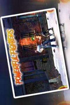 *Fighter Heroes *Street Club游戲截圖1