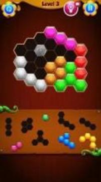 HEXA Block Puzzle Game游戲截圖2