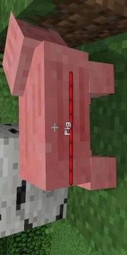 Silent’s Gems Mod for MCPE游戲截圖1
