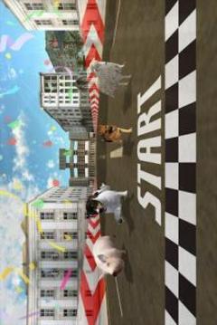 Family Pet Virtual Adventure游戲截圖2