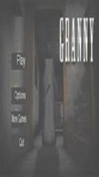 Granny Guide游戲截圖3