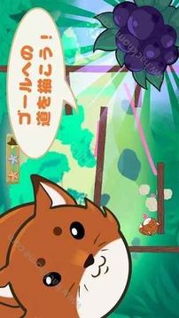 滾滾動物游戲截圖1