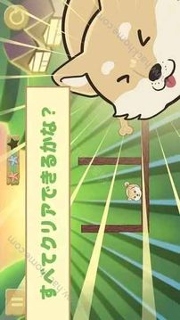 滾滾動物游戲截圖5