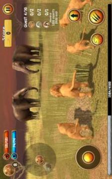 Wild Lion Simulator 3D游戲截圖5