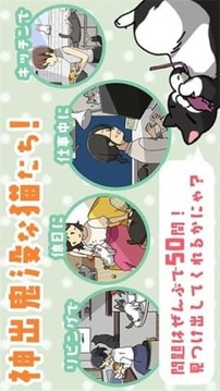 不能養(yǎng)貓的理由游戲截圖3