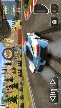Police Drift Car Driving Simulator游戏截图1