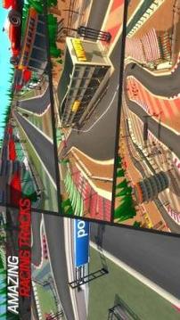 Formula 1 Race Championship游戲截圖5