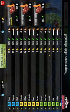 Touchdown Manager游戲截圖2