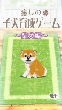 治愈系小狗養(yǎng)成柴犬篇游戲截圖1