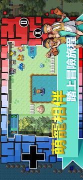 口袋妖怪新世界游戲截圖2