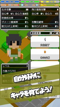 タクティクスRPG -孤高の職人-游戲截圖5