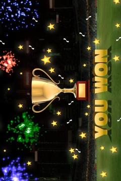 IND vs WI 2013 Tablet游戲截圖5