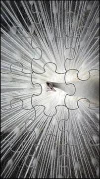 Bird Jigsaw Puzzles Game游戲截圖4