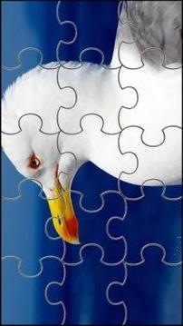 Bird Jigsaw Puzzles Game游戲截圖1