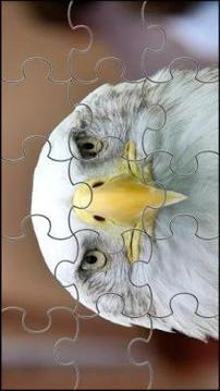 Bird Jigsaw Puzzles Game游戲截圖3