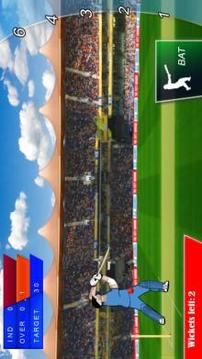 World Cricket t20 War游戲截圖4