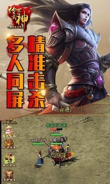 傳世武神游戲截圖1