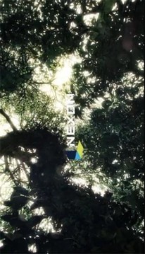 Durango狂野大陸游戲截圖3