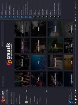 ZMUSIK Music Stream游戲截圖2
