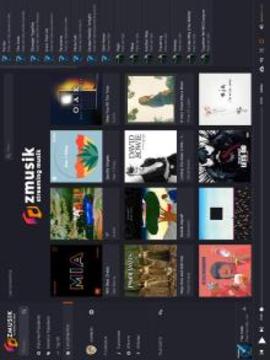 ZMUSIK Music Stream游戲截圖4