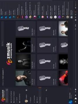 ZMUSIK Music Stream游戲截圖3