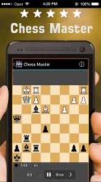 Chinese Chess Clock - Chess Timer puzzles游戏截图3