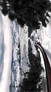 專業(yè)跳臺滑雪游戲截圖2