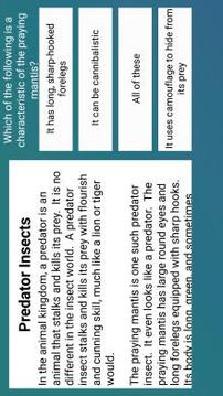 5th Grade Reading Challenge游戲截圖2