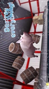 模拟猪的一生游戏截图2