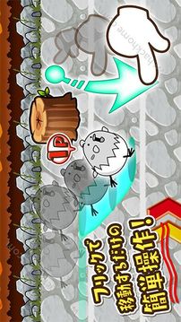 飛翔吧小雞競(jìng)爭(zhēng)游戲截圖3
