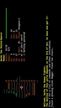 Dungeon Crawl:SS (ASCII)游戲截圖2