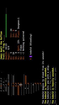 Dungeon Crawl:SS (ASCII)游戲截圖1